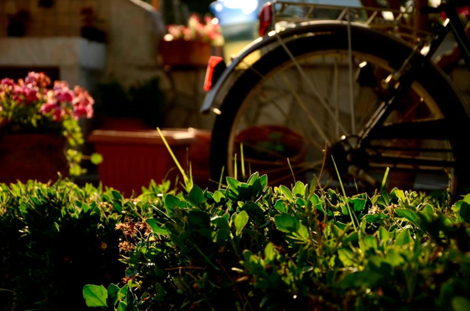 Apartmán Garden House Velika  Exteriér fotografie